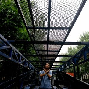 欧美成电影综合网站色www
