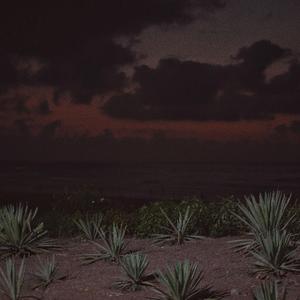 欧美成电影综合网站色www
