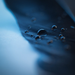 欧美成电影综合网站色www
